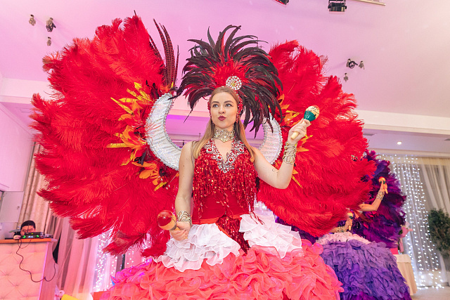 Шоу программа