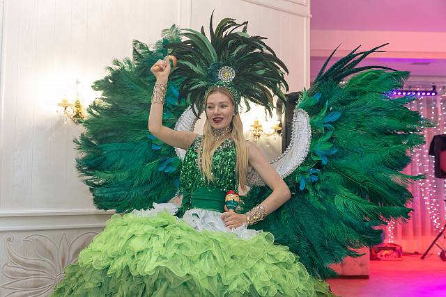 Шоу программа