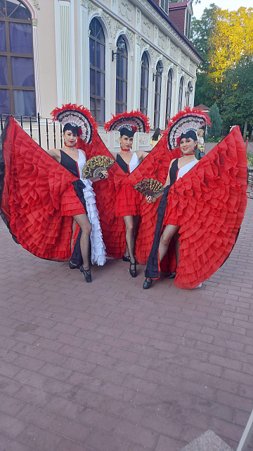 Шоу программа