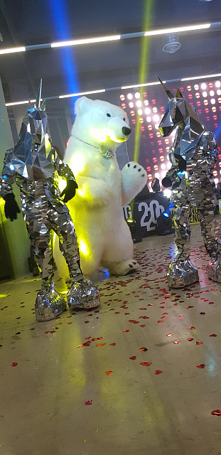 Шоу программа